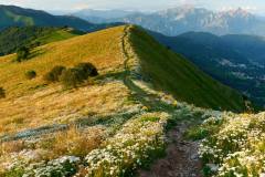 Redaelli Raffaele "Tramonto dal Palanzone" - Monte Palanzone