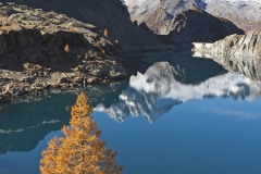Silvio Amici "Lago Pirola" - Val Malenco