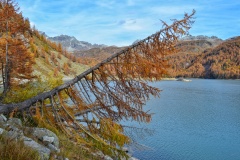 AlpeDevero-PhotoCredits-CristinaPozzi-1
