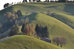 Stellato-Giuditta-Colli-di-San-Fermo-La-cima-del-cuore