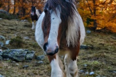 ValZebru-PhotoCredits-CristinaPozzi-3