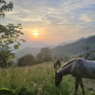 Paesaggio di campagna durante la maratona Lecco Genova di Roberto Crippa