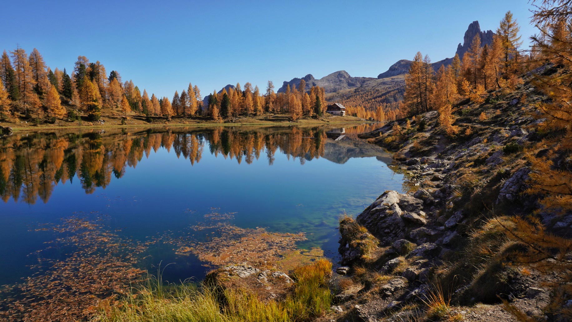 Dove vedere il foliage in autunno: Lago Federa