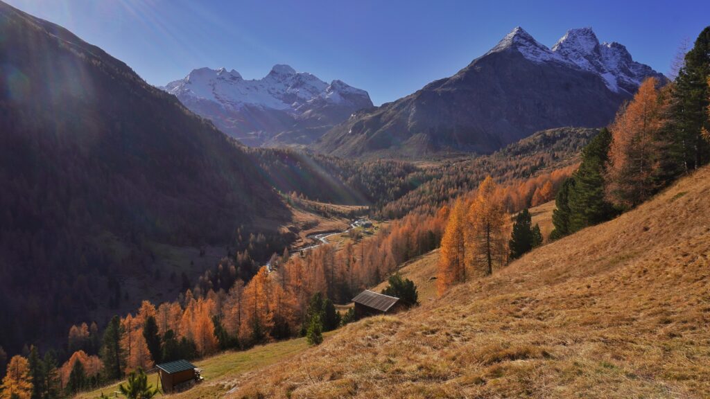 Val Viola
