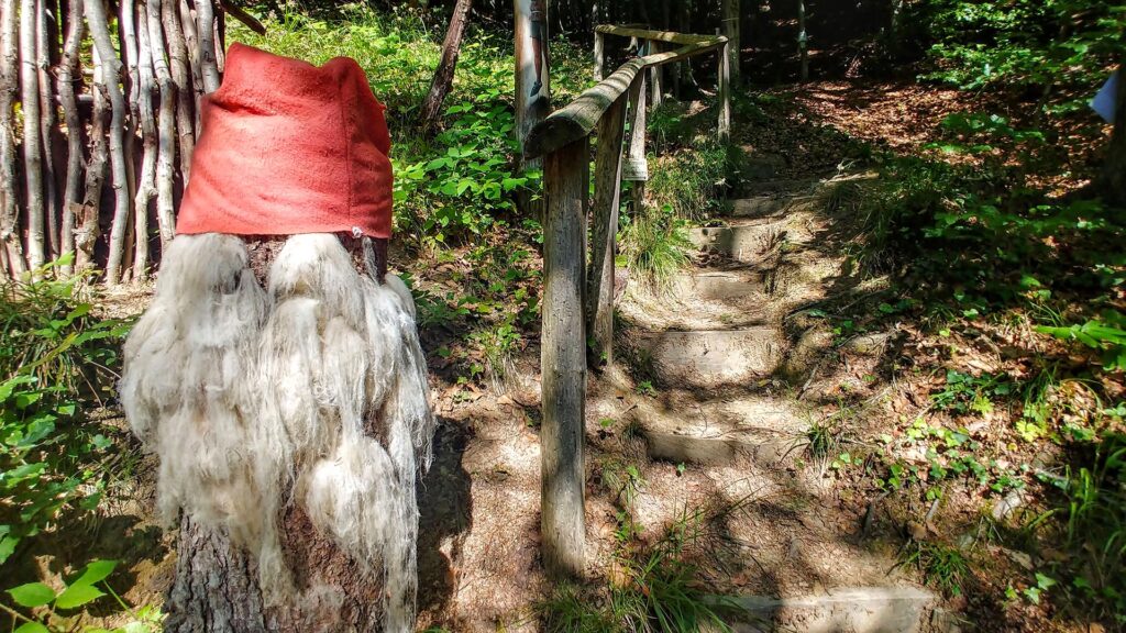 Bosco nella Brughiera San Giovanni Bianco