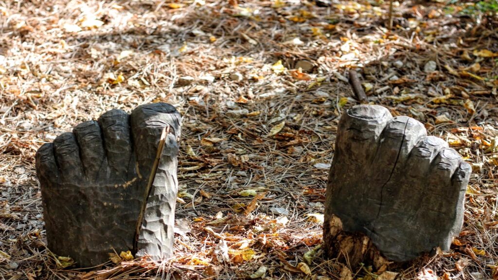 Spirito del Bosco di Canzo Boschi Incantati di Lombardia