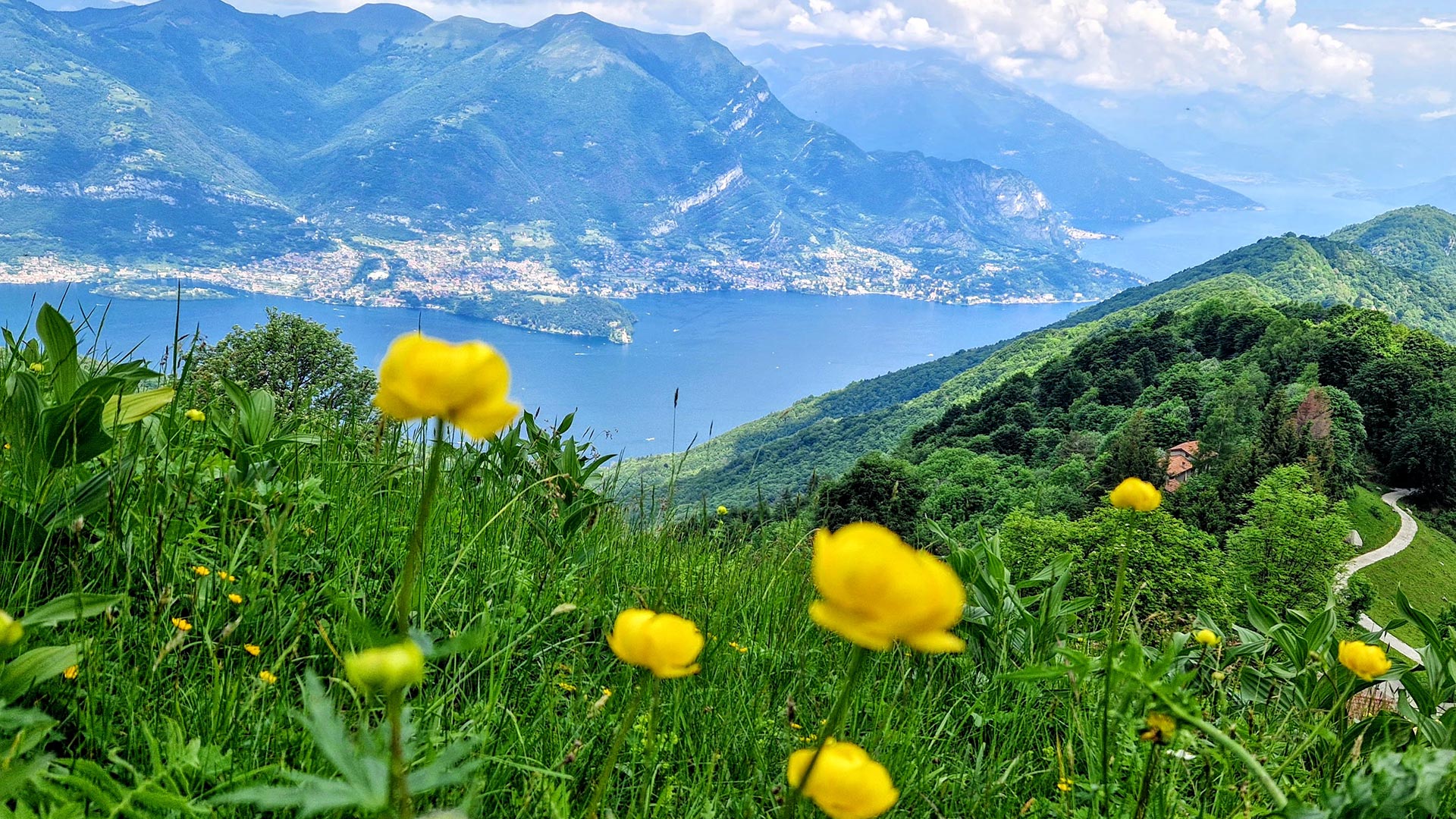 5 escursioni primaverili per famiglie in Lombardia