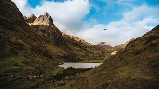 Progetto Guardianes Roberto Mor - L'altopiano dell'Ausangate in Perù