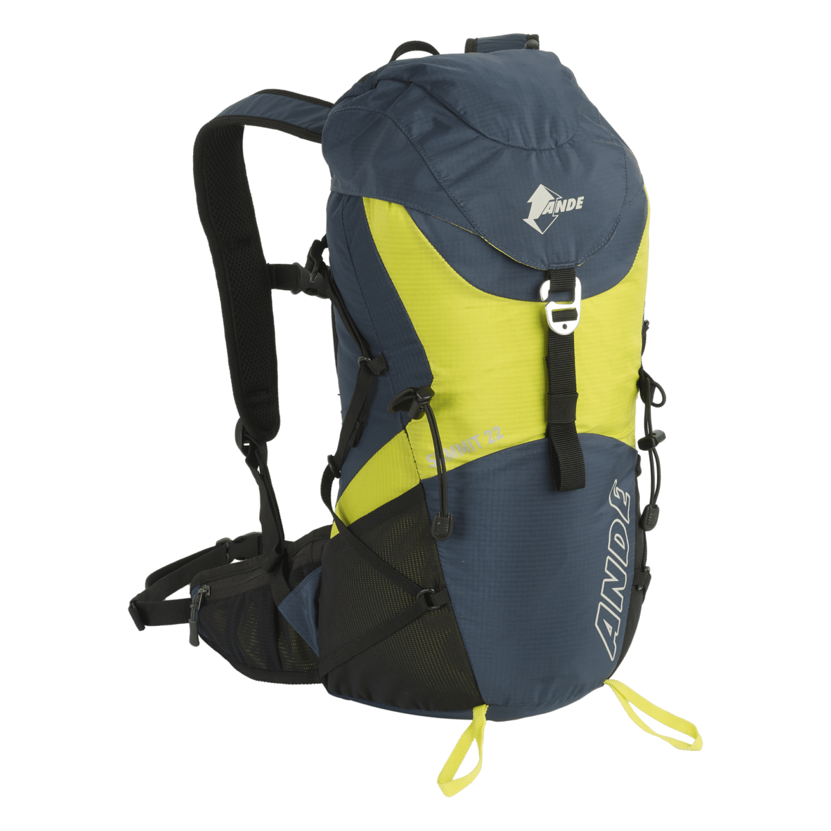 SUMMIT 22